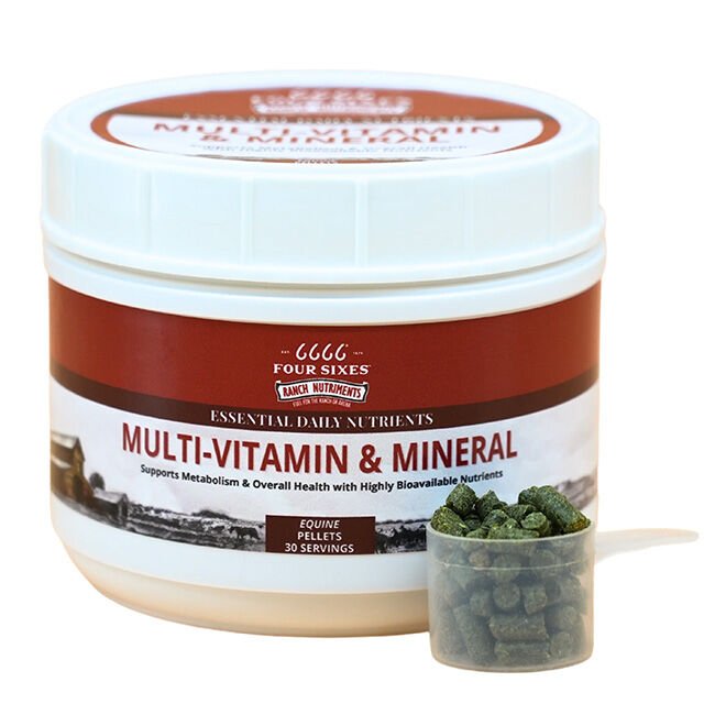 6666 Equine Supplements Multi-Vitamin & Mineral Pellets - 1 lb image number null