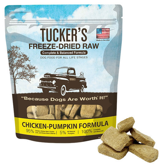 Freeze dried pumpkin for dogs 2025