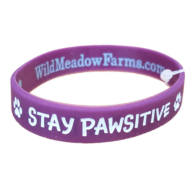 Wild Meadow Farms Fur Baby Bands "Stay Pawsitive" Purple image number null