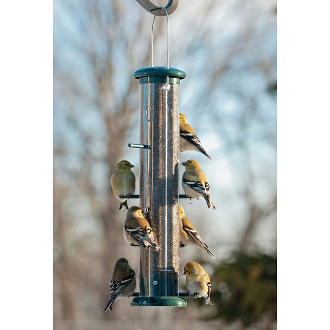 Audubon Thistle Tube Feeder for Finches - 8 Ports image number null