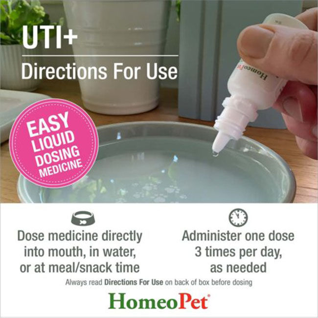 HomeoPet UTI+ - 15 mL image number null