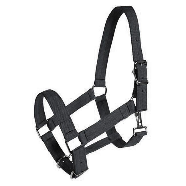 Triple E 1-1/2" Adjustable Poly Web Draft Halter image number null