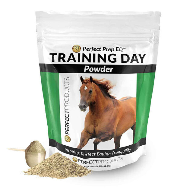 Perfect Prep EQ Training Day image number null