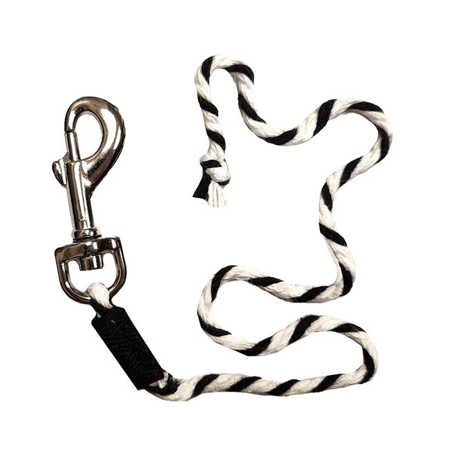 Crafty Ponies Toy Lead Rope - Black image number null