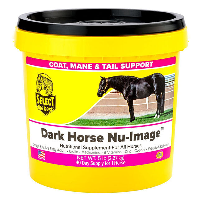 Select the Best Dark Horse Nu-Image image number null