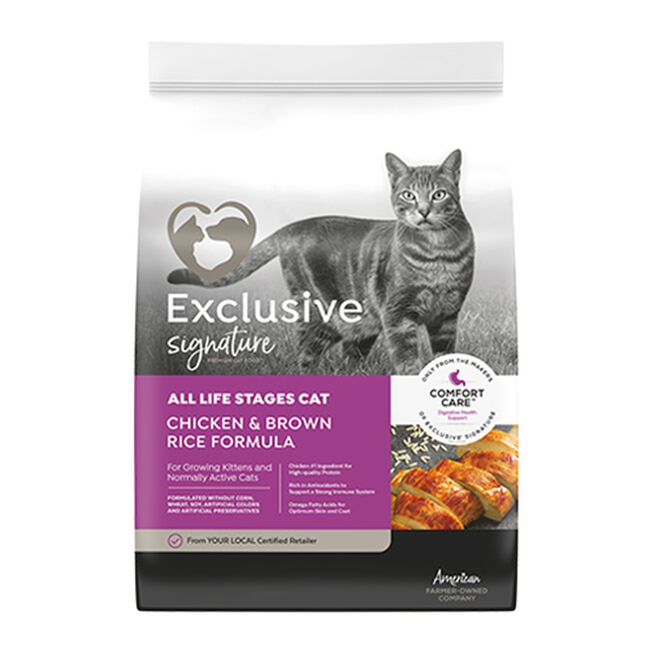 Infinia Chicken & Brown Rice Recipe Dog Food image number null