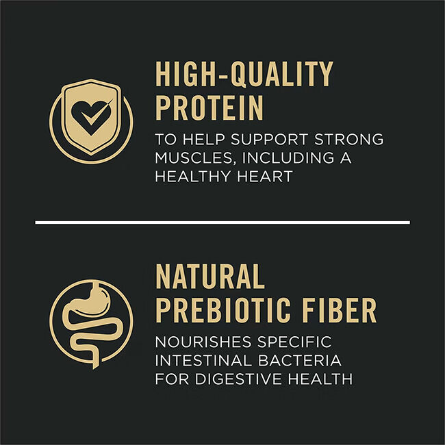 Purina Pro Plan Complete Essentials Dog Food - Shredded Blend - Beef & Rice with Probiotics image number null