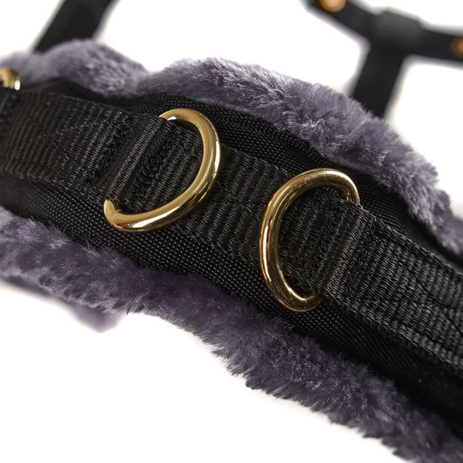 Shires Fleece-Lined Lunge Cavesson - Black image number null