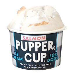 Pupper Cup Ice Cream for Dogs - Salmon - 3 oz