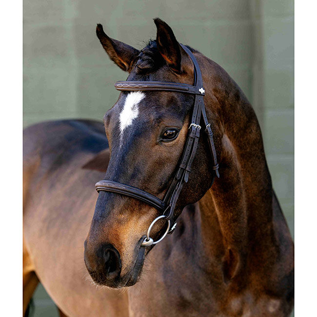 LeMieux Arika Classique Cavesson Bridle - Brown image number null