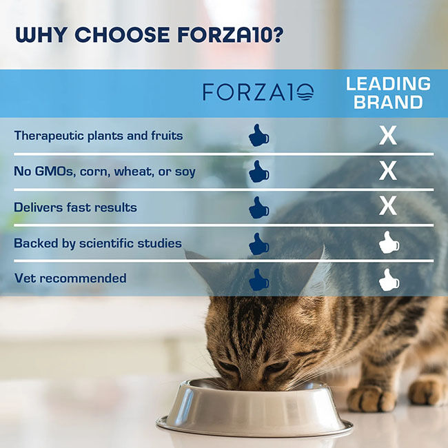 Forza10 Nutraceutic Actiwet Cat Food - Hypo Hypoallergenic Diet - Lamb Recipe - 3.5 oz image number null