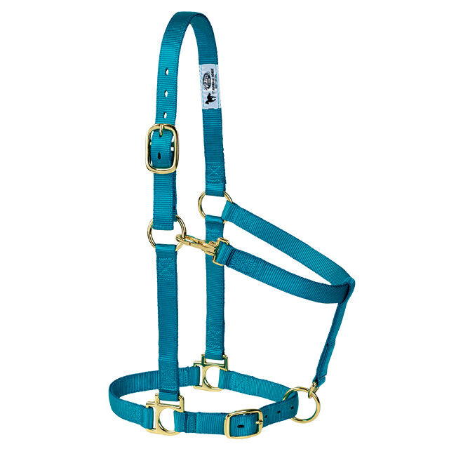 Weaver Equine Poly Adjustable Halter image number null