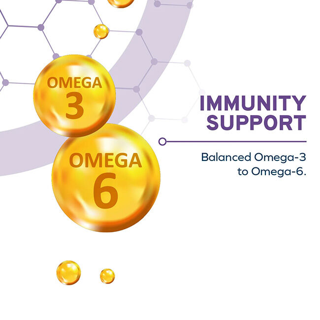 Forza10 DailyPro Sensitive Skin Support Food for Medium & Large Dogs - Wild-Caught Anchovy image number null