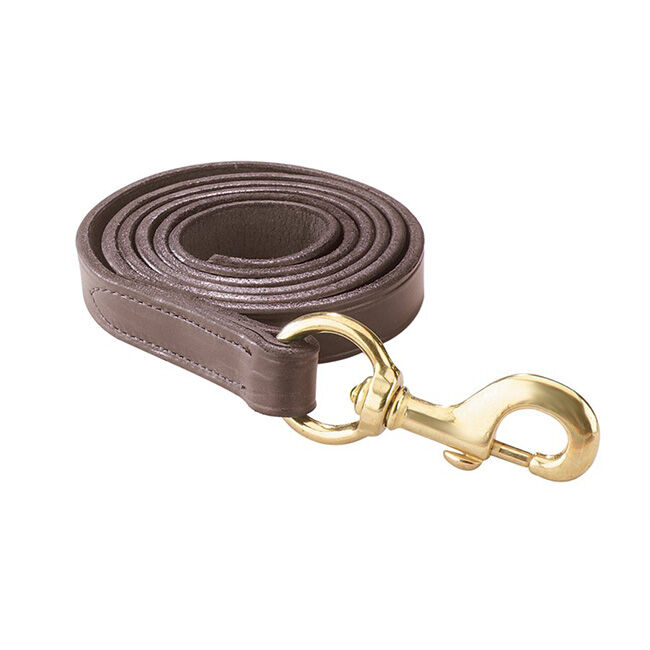 Perri's Leather Lead with Solid Brass Snap image number null
