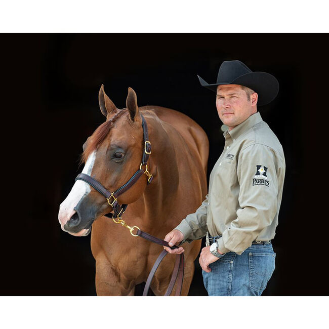 Perri's Leather Padded Leather Halter image number null