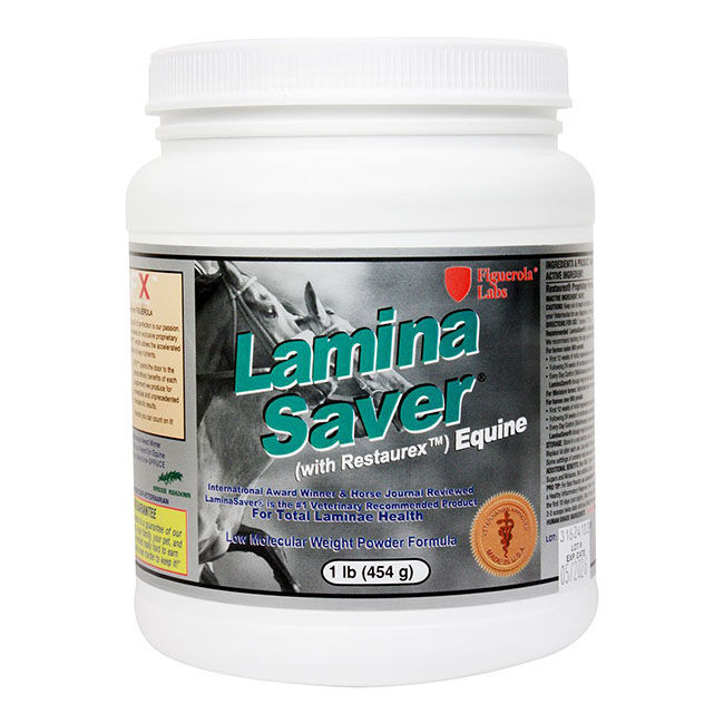 Figuerola Labs LaminaSaver - Supplement for Laminae Health image number null