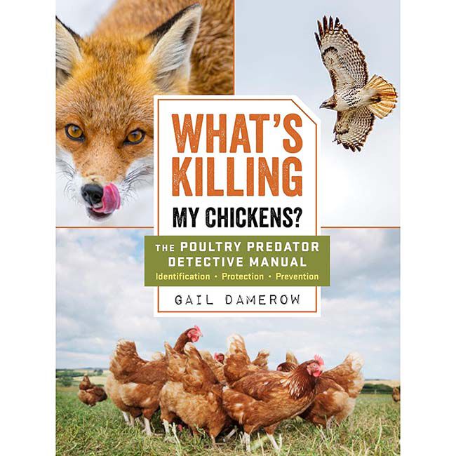 What's Killing My Chickens?: The Poultry Predator Detective Manual image number null
