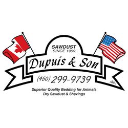 Dupuis Pine Shavings