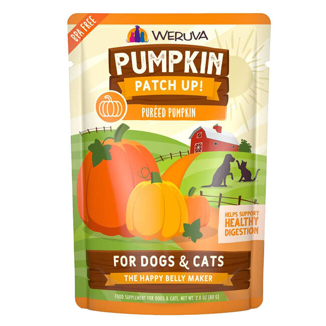 Weruva Pumpkin Patch Up for Dogs and Cats image number null