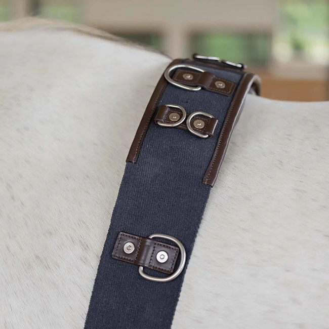 Equinavia Saga Lunge Surcingle - Chocolate Brown/Navy image number null