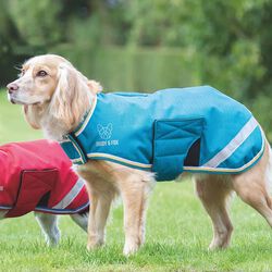Shires Digby & Fox Waterproof Dog Coat - Ocean
