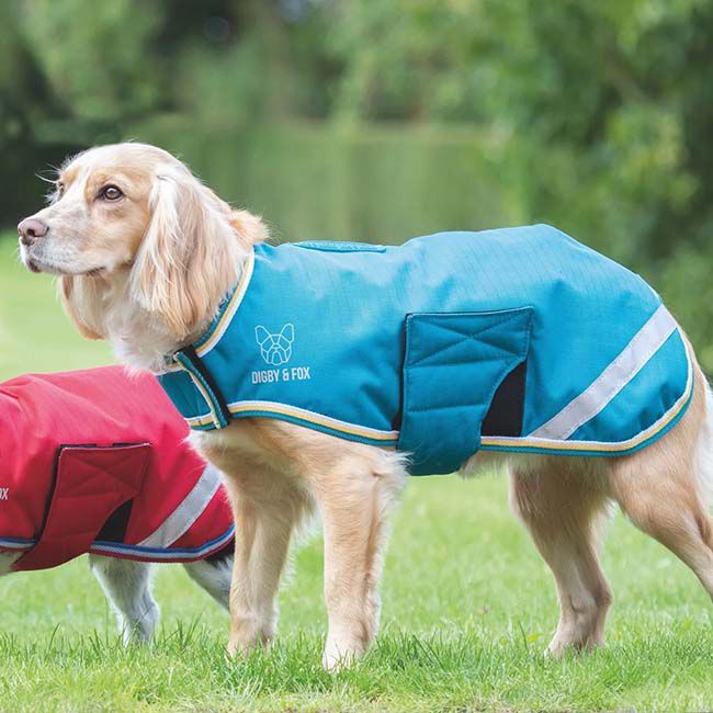 Shires Digby & Fox Waterproof Dog Coat - Ocean image number null