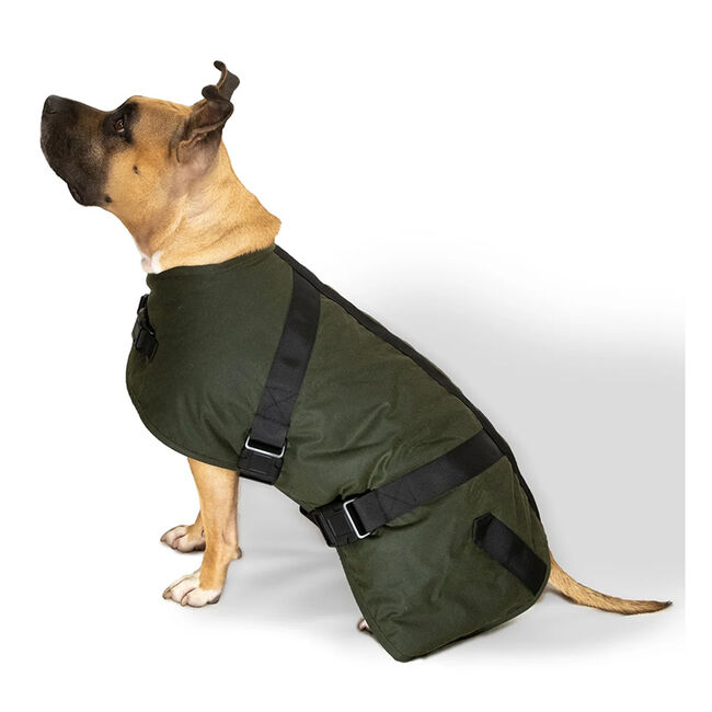 Outback Trading Co. Clancy Oilskin Dog Coat The Cheshire Horse