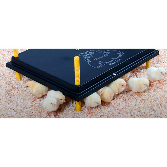 Comfort Chick Brooder Heating Plate image number null