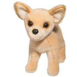 Douglas Carlos the Chihuahua