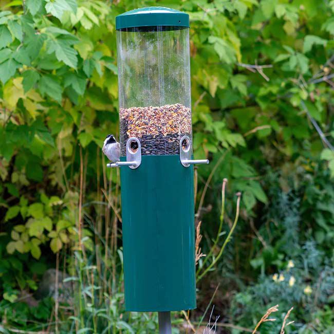 Birds Choice Squirrel Proof Classic Bird Feeder with Pole & Squirrel Baffle image number null