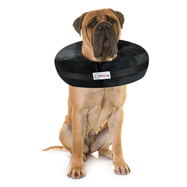 Comfurt Collar Pet Recovery Collar image number null
