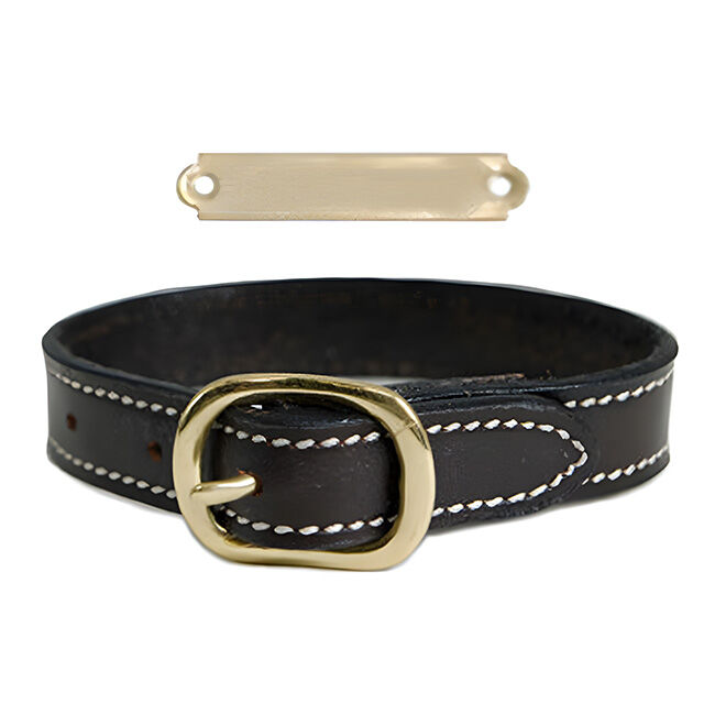 Horse discount nameplate bracelet