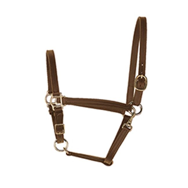 Perri's 3/4'' Leather Turnout Halter Black image number null