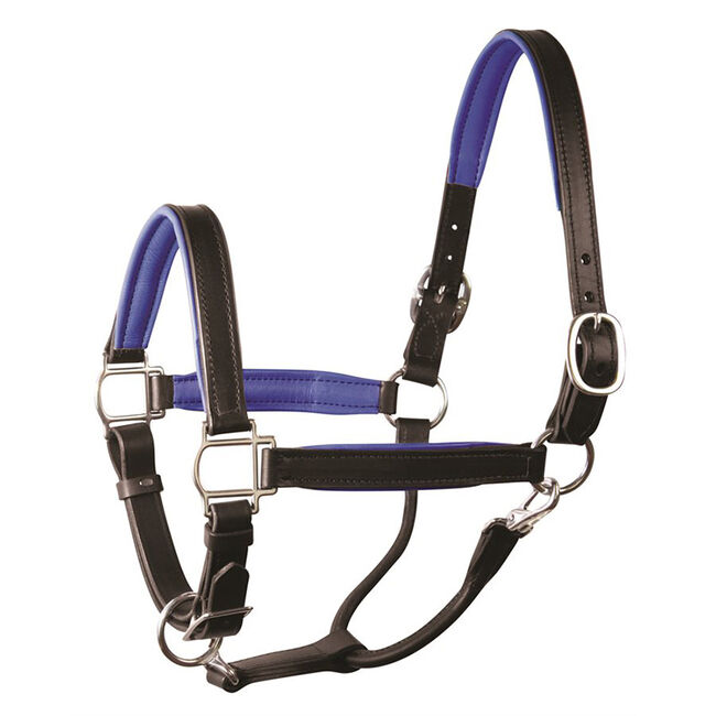 Perri's Leather Padded Leather Halter image number null