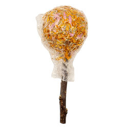 Nibbles Garden Crunch Hay Pop