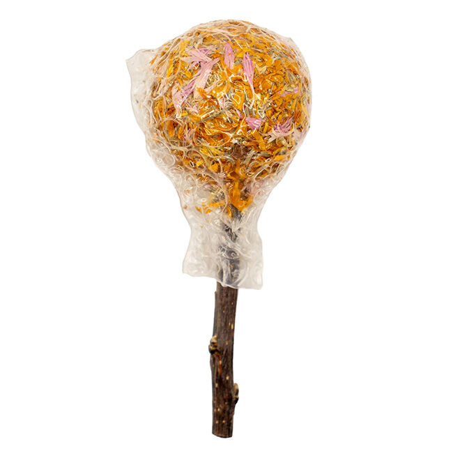 Nibbles Garden Crunch Hay Pop image number null