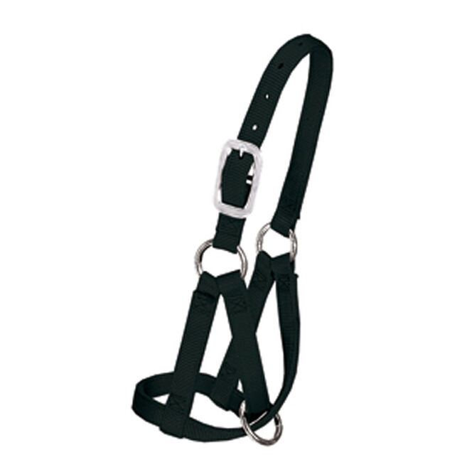 Weaver Llama Halter image number null