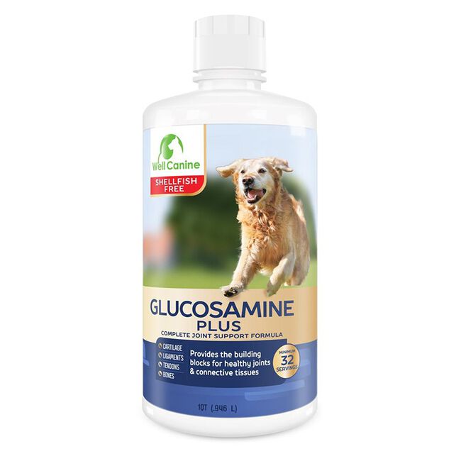 Can You Give Horse Glucosamine To Dogs