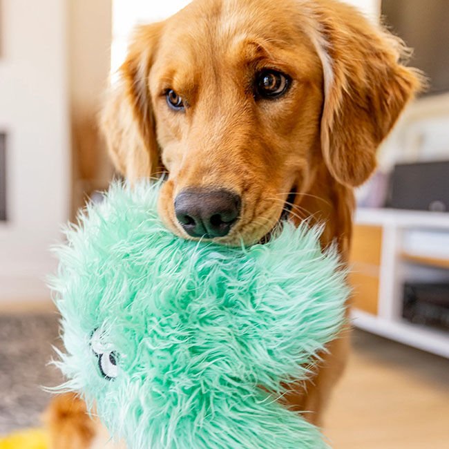 West Paw Rowdies Dog Toy - Helga image number null