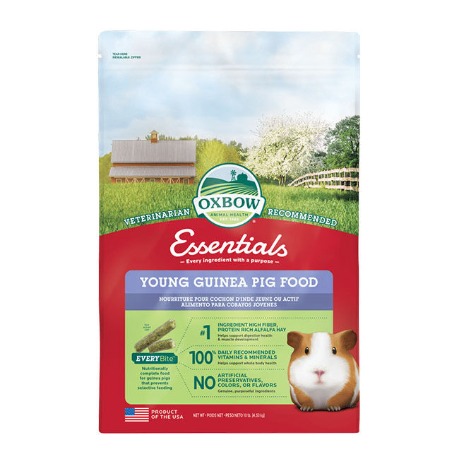 Oxbow Young Guinea Pig Food image number null