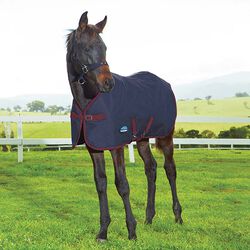 WeatherBeeta 1200D Foal Turnout with Standard Neck (220g Fill) - Navy/Burgundy