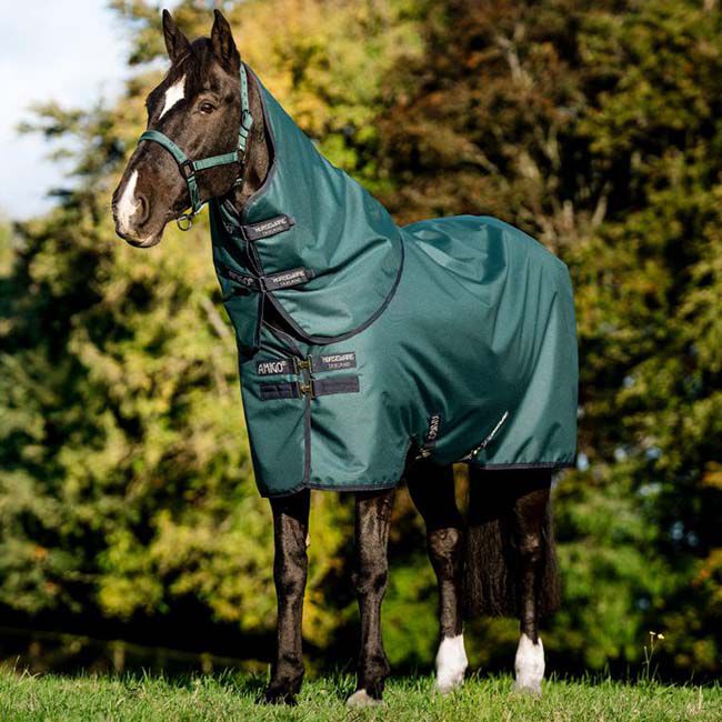 Horseware Amigo Ripstop 900D Plus Turnout (0g Light) - Dynasty Green/Navy/Silver image number null