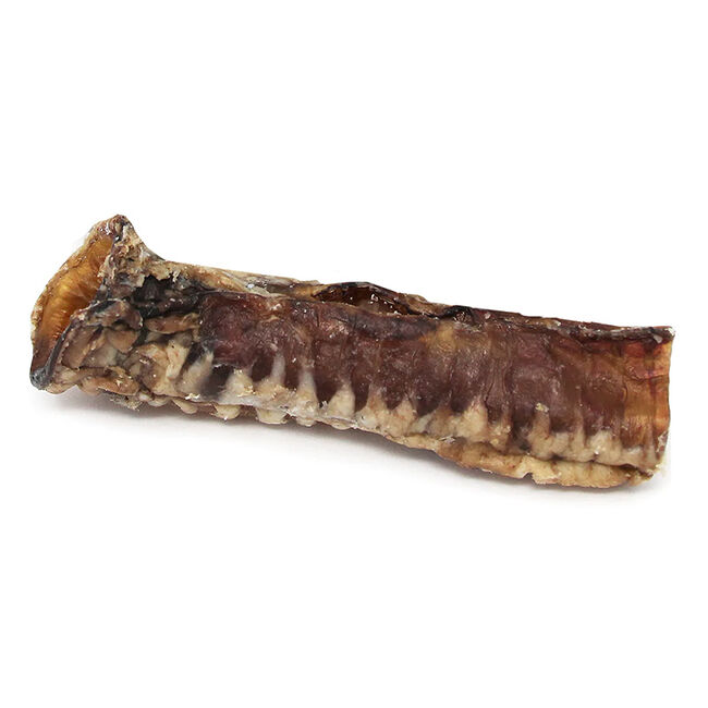 Tuesday's Natural Dog Company Beef Trachea image number null