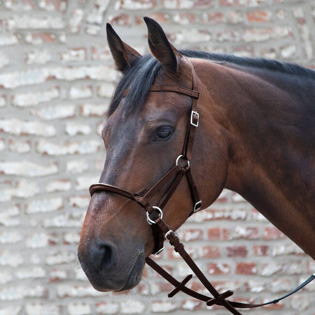 Vorübergehend Barcelona Median western bitless bridle stattdessen