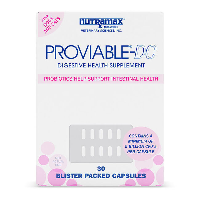 Proviable MultiStrain Probiotic for Dogs & Cats The Cheshire Horse