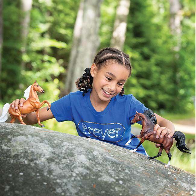 Breyer Mahogany Bay Arabian image number null