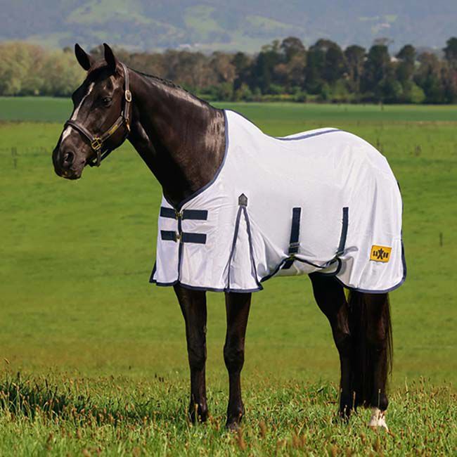 Saxon Mesh Fly Sheet with Belly Wrap - White/Navy image number null