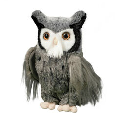 Douglas Samuel the Gray Horned Owl