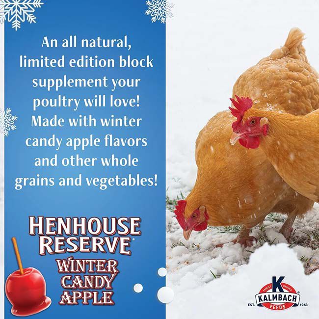 Kalmbach Feeds Henhouse Reserve Supplement Block - Candy Apple - 20 lb image number null