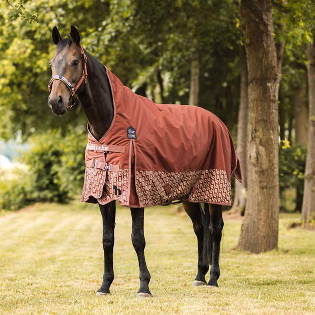 Horze Avalanche Turnout Rug with High Neck (150g) - Smoked Paprika image number null